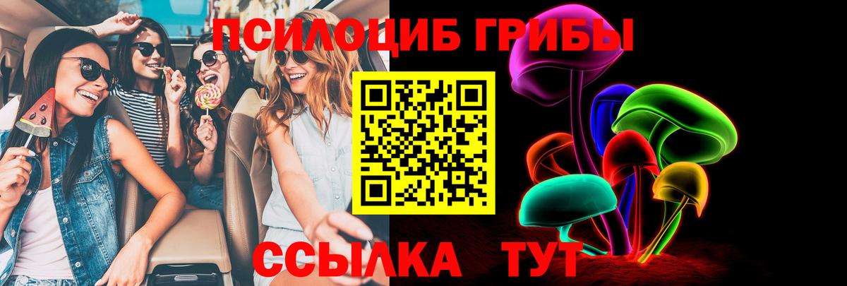 Псилоцибиновые грибы GOLDEN TEACHER  Вход с VPN  Гай 